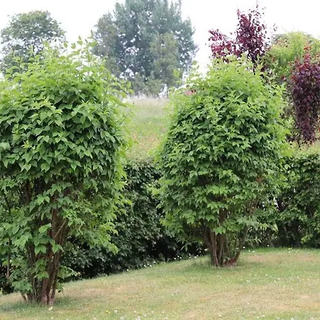 Wolpers Im Kaiserhof Comfortable * Kellenhusen