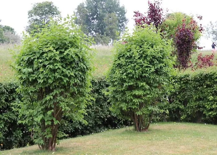 Wolpers Im Kaiserhof Comfortable * Kellenhusen